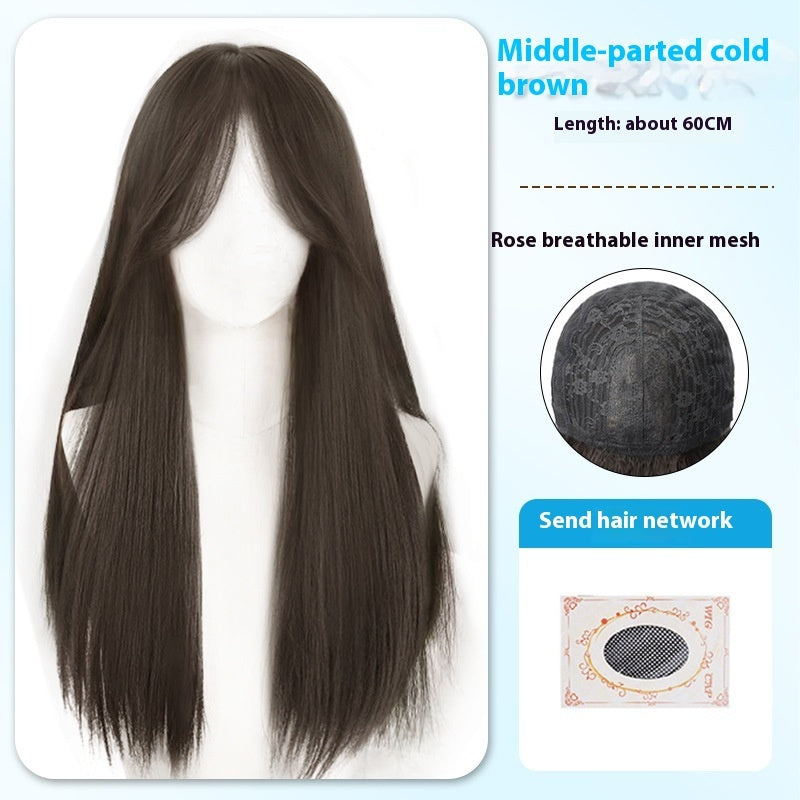Black Long Straight Wig Female Bangs Wig Head Cover